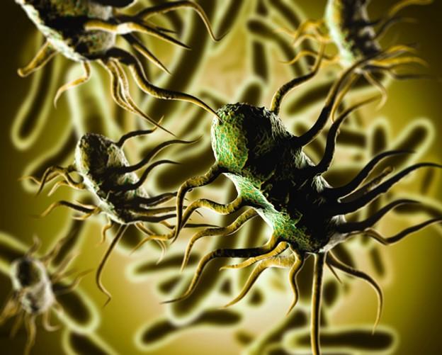 Listeria Outbreaks and the Case for End-to-End Traceability